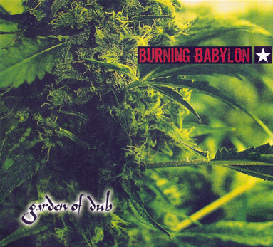Burning Babylon - Rootical I-Ration